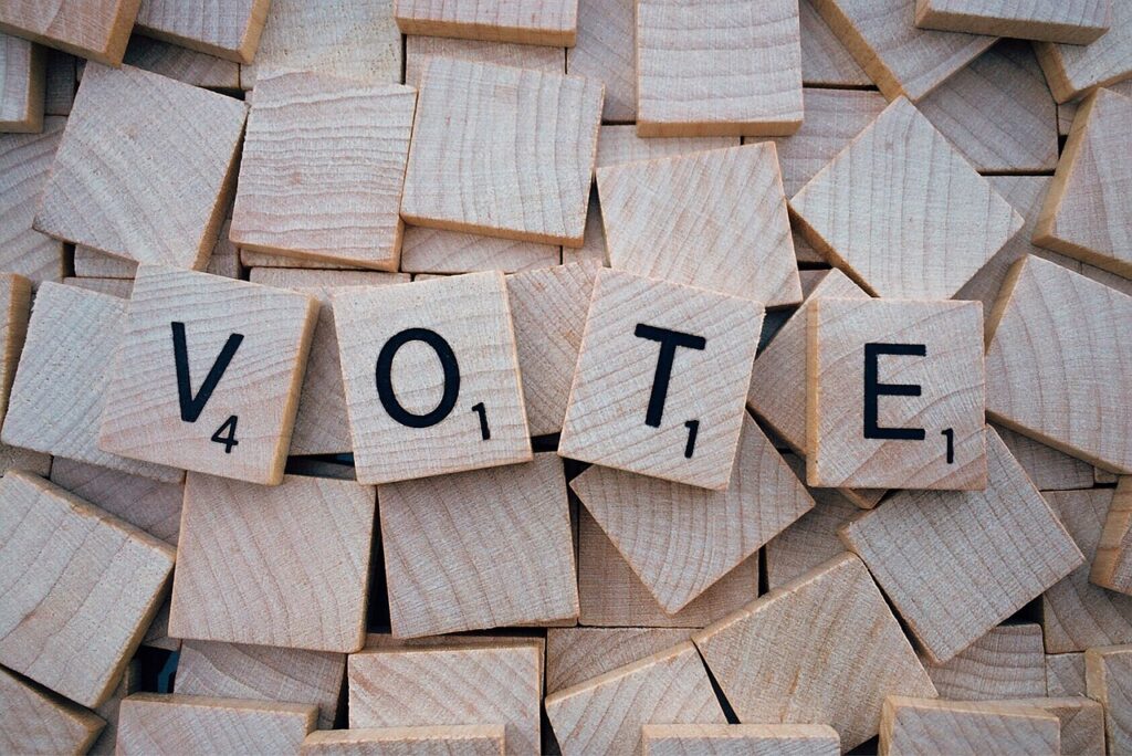 vote-1804596_1280 (1)