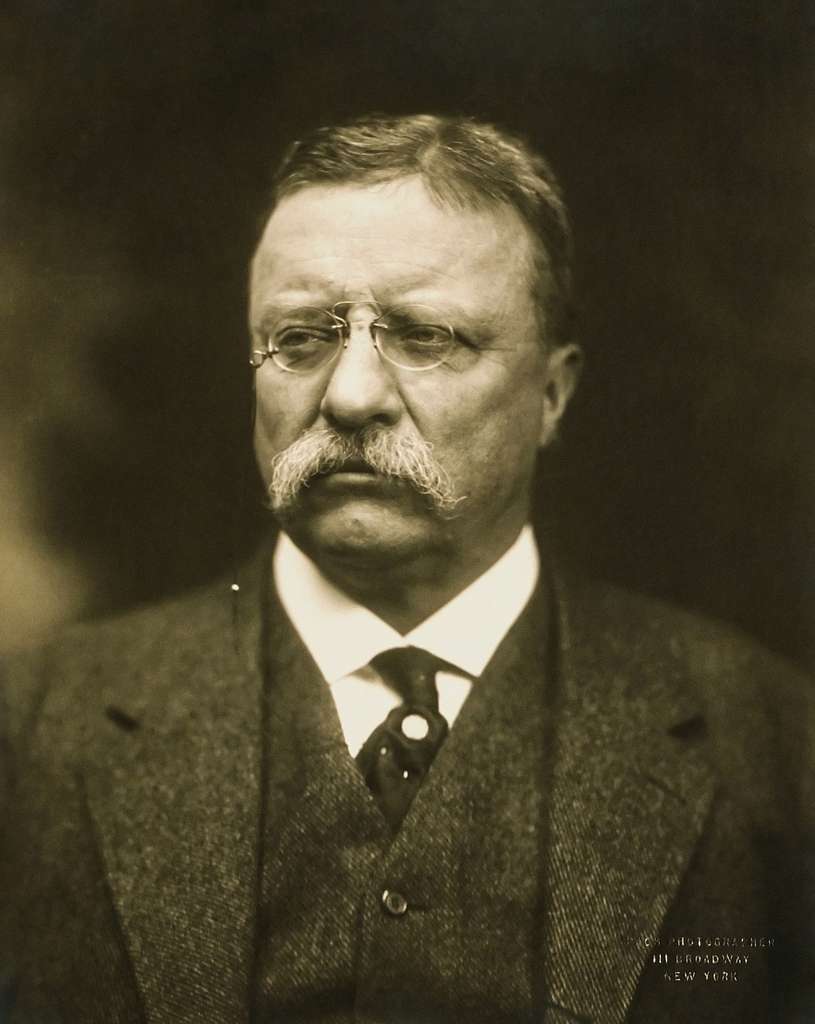 Theodore Roosevelt and the Revolution America Avoided